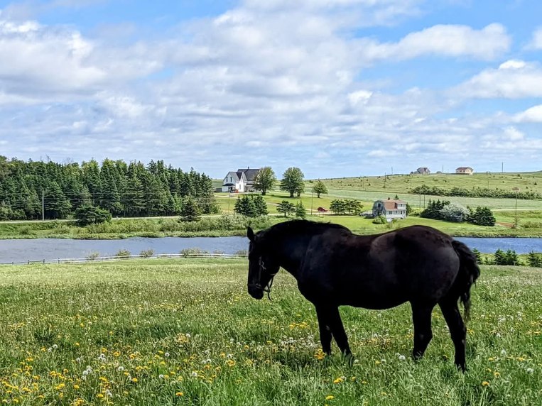 Gulf of St. Lawrence